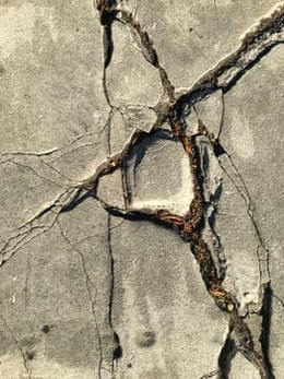 A shot of cracked sidewalk with vegetation growing underneath of it. 